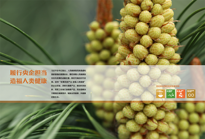 企业社会责任报告自然