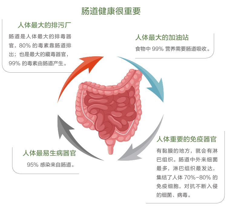 肠道清一身轻,肠健康常健康